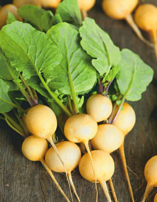 Редис Золотое чудо 2 гр цв.п. (Сибирская серия)