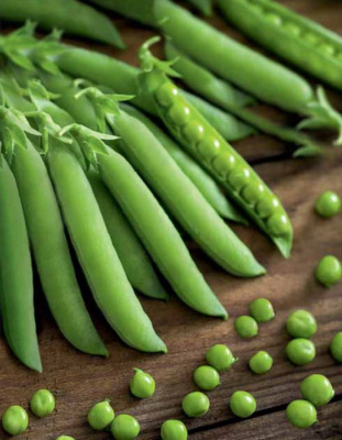 Горох Миленок (Селекция "ВХ") 10 гр цв.п.