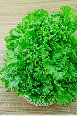 Салат Одесский кучерявец 1 гр цв.п (Био-старт)