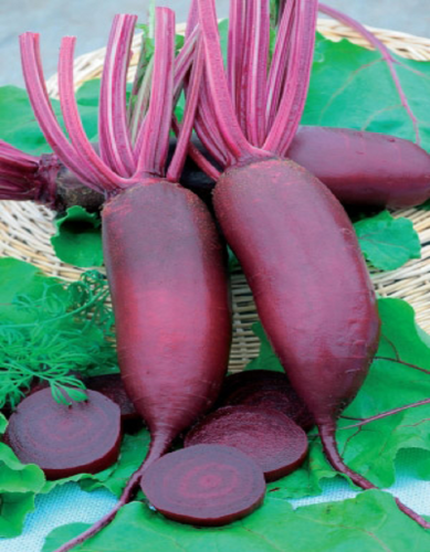 Свекла Матушка Матрёша 2 гр цв.п (Штайнерт)