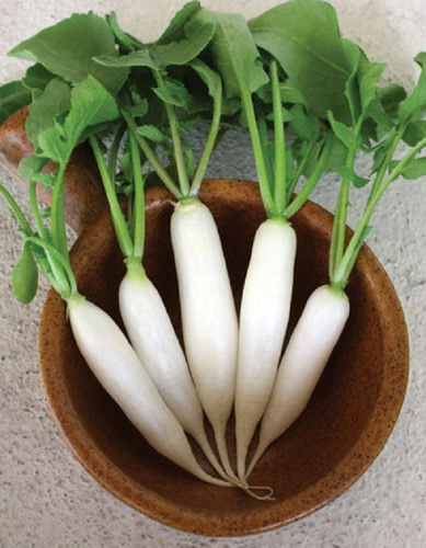 Дайкон Какаду (Селекция "ВХ") 0,5 гр цв.п.