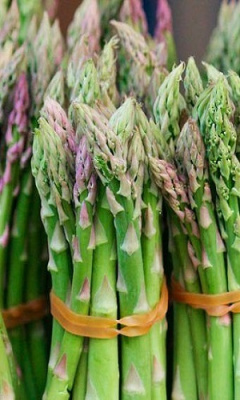 Спаржа Аржентельская 1шт р9