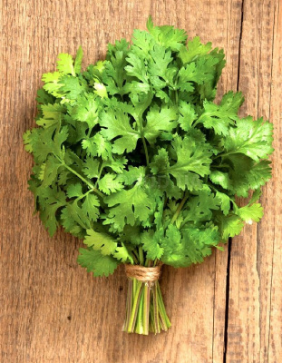 Кориандр (кинза) Ткемали 2 гр цв п.