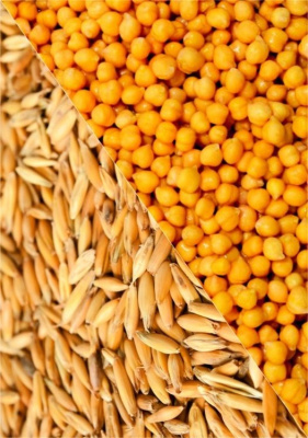 Горохо-ячменная смесь 10 кг.