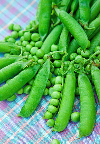 Горох Адагумский овощной 10 гр б.п.