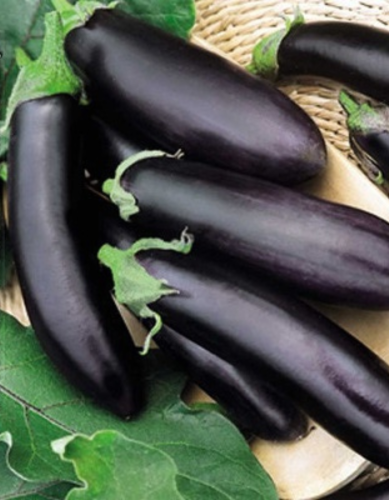Баклажан Лирика (УД) 20 шт цв.п.