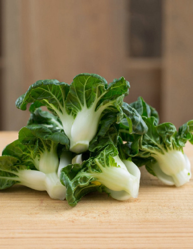 Капуста китайская (Пак-чой) четыре сезона (УД) 0,25 гр цв.п.