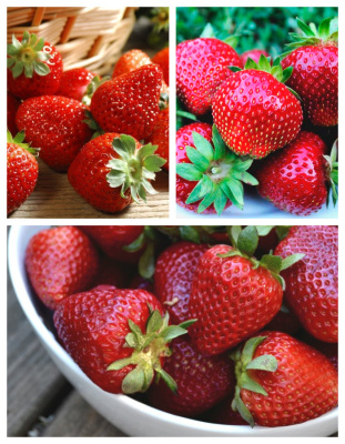 Набор "Поздних сортов"  3 саженца