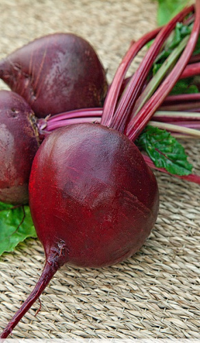 Свекла Бордо 237 2 гр б.п