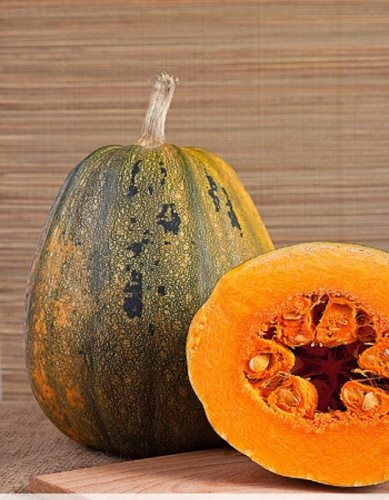 Тыква твердокорая Грибовская Кустовая 189 2 гр  б.п