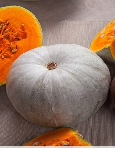 Тыква крупноплодная Крошка  2 гр б.п