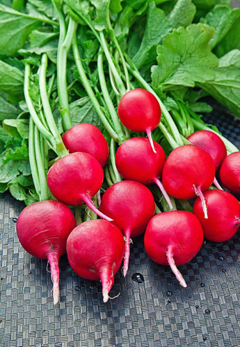 Редис Рубин 3 гр б.п.