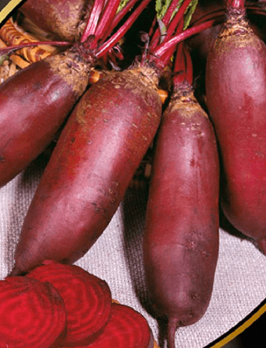 Свекла Рокет Дабл Ред (УД)  2 гр  цв.п