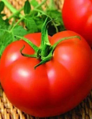 Томат Мелодия F1 (УД) 6 шт. цв.п.