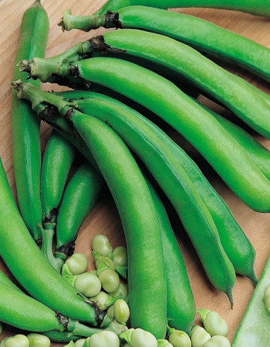 Бобы Черные Бриллианты цв.п. 15 шт