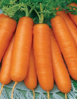 Морковь Несравненная 2 гр б.п