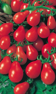 Томат Красный Колокольчик черри (УД) 20 шт цв.п.