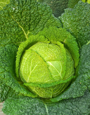 Капуста савойская Сфера F1 (УД) 0,25 гр. цв.п.