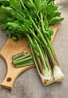 Сельдерей черешковый Юта 0,5 гр цв.п