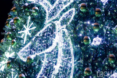 Специалисты дали рекомендации по выбору и транспортировке новогодней ёлки / ЯСИА   