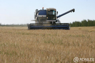 Правительство РФ ввело временный запрет на экспорт твёрдой пшеницы / ЯСИА   