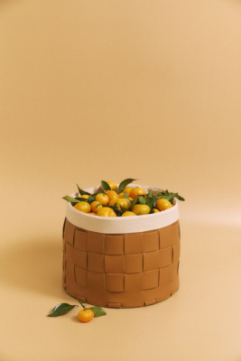 Корзина кожаная для хранения Nest Ochre