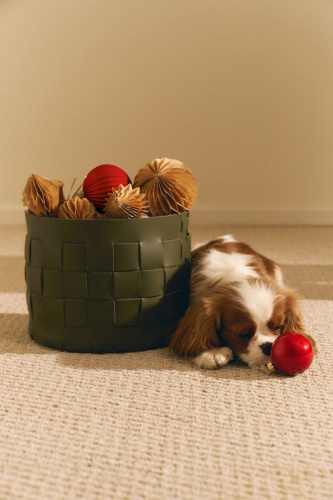 Корзина кожаная для хранения Nest Olive