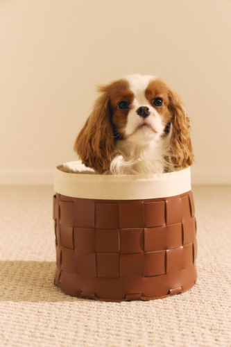 Корзина кожаная для хранения Nest Brandy