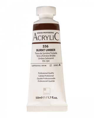 Акрил ShinHanart "Professional" туба 50 мл №556 Умбра жженая кат.A