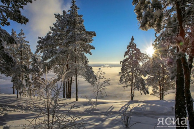 Госдума РФ расширила полномочия экологических инспекторов / ЯСИА   
