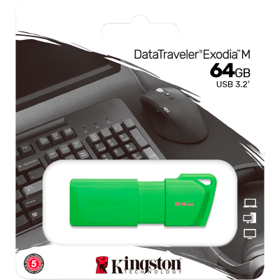 Флеш-накопитель Kingston Technology