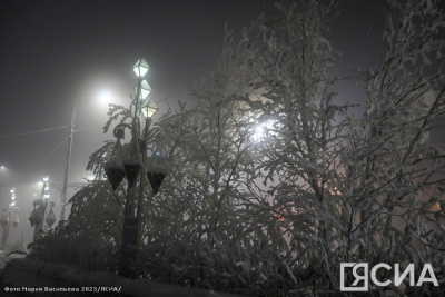 Пока в Якутии была ночь: самовыдвижение Путина, цены на яйцо и продолжительность рабочего дня / ЯСИА   Республика Саха (Якутия)