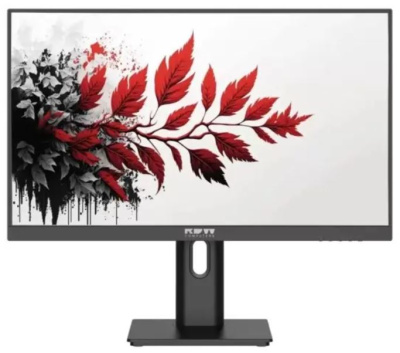Монитор 27" RDW Computers 2701K/F00B3100V2A1 черный IPS 5ms HDMI HAS Piv 300cd 178гр/178гр 1920x1080 100Hz VGA DP FHD (RUS)