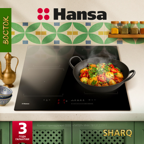 Индукционная панель Hansa BHI67606