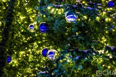 Якутяне рассказали, где планируют встречать Новый год / ЯСИА   