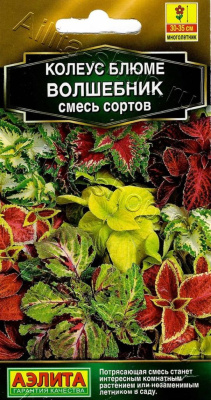 Колеус блюме Волшебник, смесь сортов (Аэлита) 5 шт