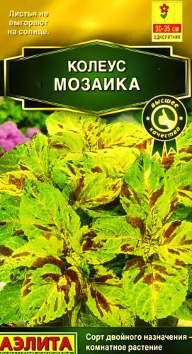 Колеус блюме Мозаика (Аэлита) 5 шт