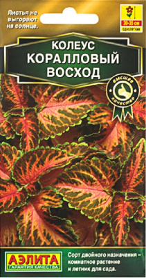 Колеус блюме Коралловый восход (Аэлита) 5 шт