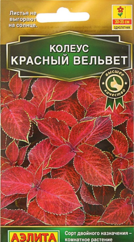 Колеус блюме Красный вельвет (Аэлита) 5 шт