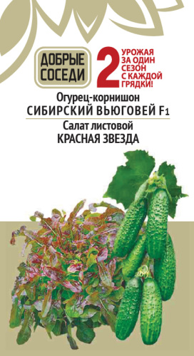Огурец СИБИРСКИЙ ВЬЮГОВЕЙ F1 и Салат КРАСНАЯ ЗВЕЗДА