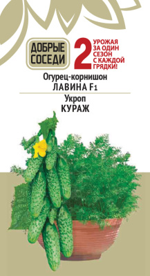 Огурец ЛАВИНА и Укроп КУРАЖ
