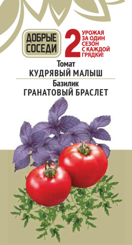 Томат КУДРЯВЫЙ МАЛЫШ и Базилик ГРАНАТОВЫЙ БРАСЛЕТ