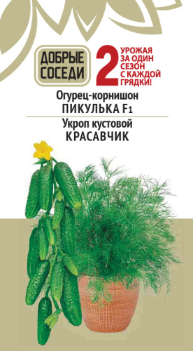 Огурец-корнишон ПИКУЛЬКА F1 и Укроп кустовой КРАСАВЧИК