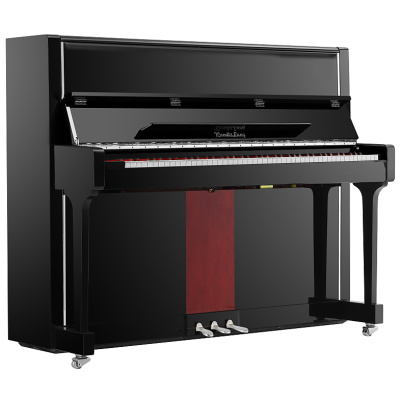 Wendl & Lung V120 BK - чёрный