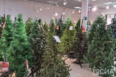 Минфин не поддержал идею введения нулевого НДС на мандарины и новогодние елки / ЯСИА   