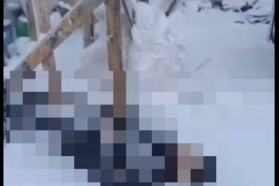 В Якутске водитель мусоровоза обнаружил тело мужчины / Саина Титова Якутск Якутск Республика Саха (Якутия)