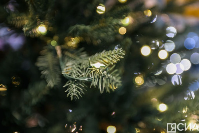 В Якутске для детей участников СВО организовали новогоднее представление / ЯСИА   