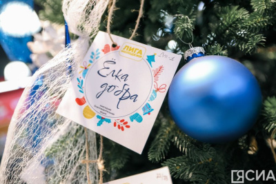 Благотворительная акция «Елка добра» объединила 7 тысяч якутян / ЯСИА   