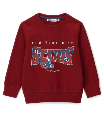 Свитшот для мальчика