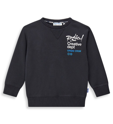 Свитшот для мальчика